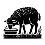 Thirsty Wooly Sheep