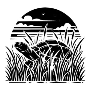 Observant Turtle Habitat