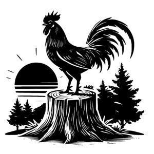 Dawn’s Watchful Rooster