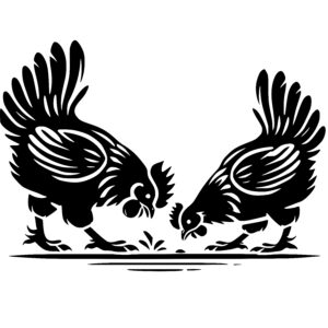 Rooster Showdown