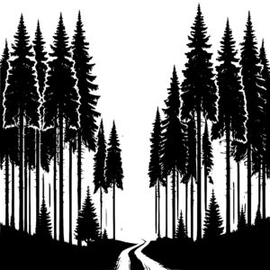 Pine-lined Road Journey