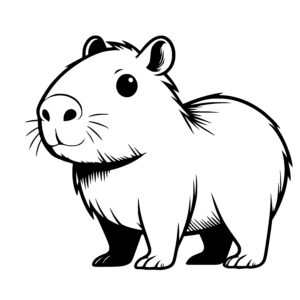 Curious Capybara
