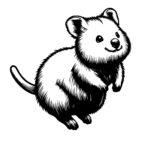 Jumping Quokka