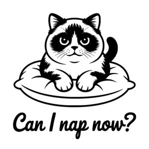 Cat Nap Time