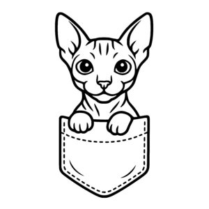 Sphynx Pocket Cat
