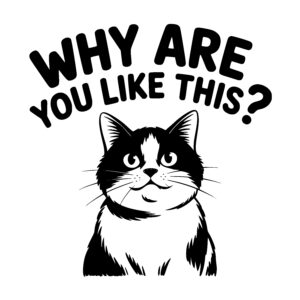 Curious Cat Question