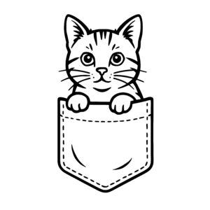 Playful Pocket Kitten