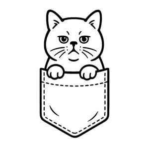 Displeased Pocket Cat