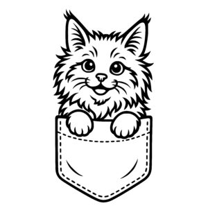 Maine Coon Pocket Kitty