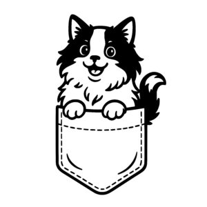 Ragdoll Pocket Cat