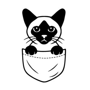 Siamese Pocket Kitty