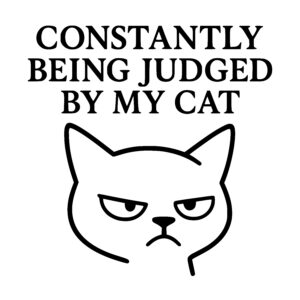 Judging Cat Gaze