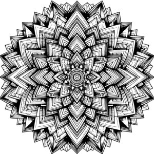 Radiating Petal Mandala
