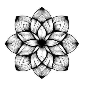 Radiant Petal Spiral