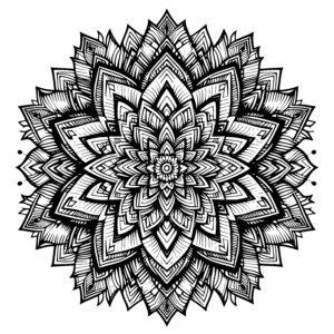 Floral Radiance Mandala