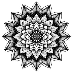 Radiant Petal Star