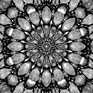 Petal Wave Mandala