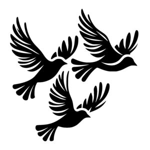Diverse Birds in Flight