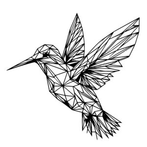 Triangular Hummingbird Flight