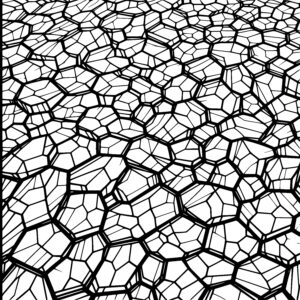 Polygonal Pathway