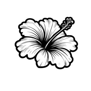 Hibiscus Delight