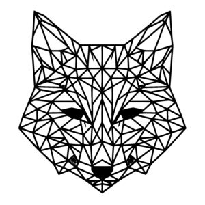 Fox Head Geometry