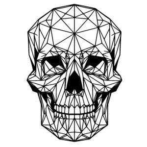 Faceted Skull
