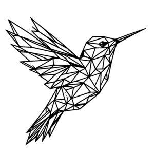 Geometrical Hummingbird Dance