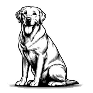 Friendly Labrador Buddy