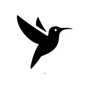 Swift Hummingbird Dance