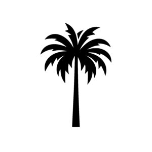 Elegant Palm Canopy