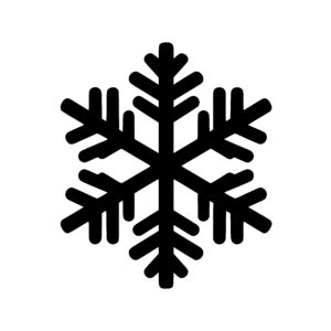 Geometric Frost Flower