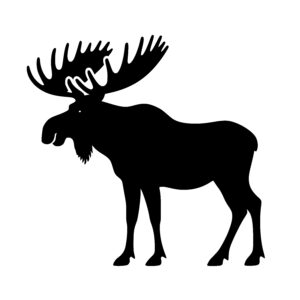 Grand Moose Stance