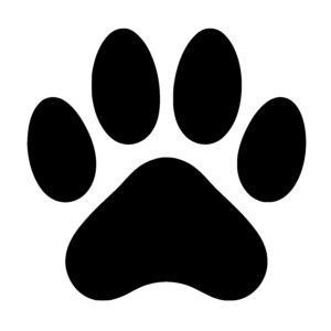 Animal Tracks