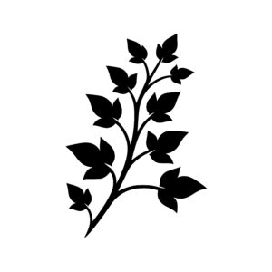 Growing Leafy Branch