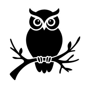 Alert Owl Perched