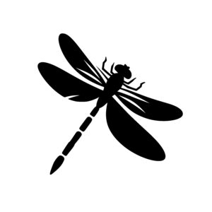Soaring Dragonfly Silhouette