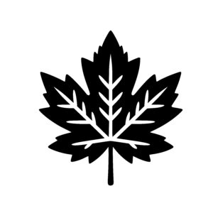 Jagged Maple Leaf