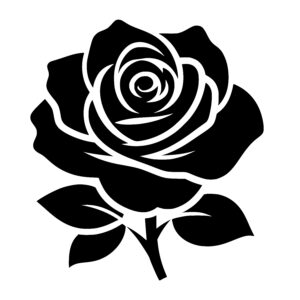 Curled Petals Rose