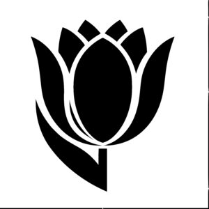 Elegant Lotus Flower
