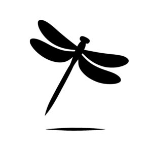 Elegant Dragonfly Dance