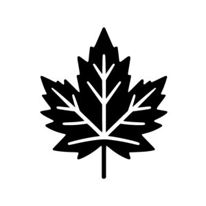 Star-shaped Maple Leaf