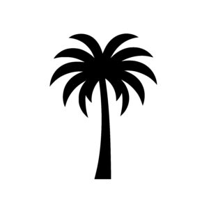 Elegant Palm Fronds