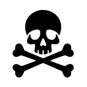 Crossed Bones Skull