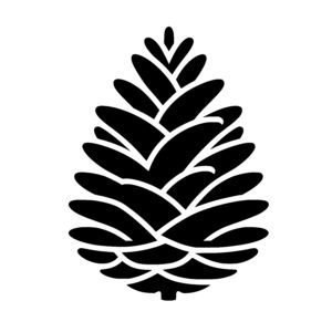 Elegant Pine Cone