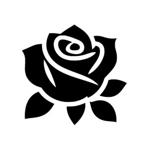 Spiral Flower Bloom