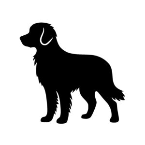 Strong Silhouette Dog