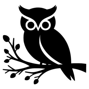 Serene Branch Owl