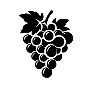 Grapes on the Vine
