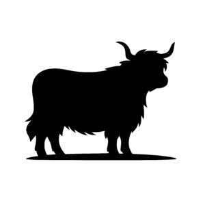 Highland Cow Stance